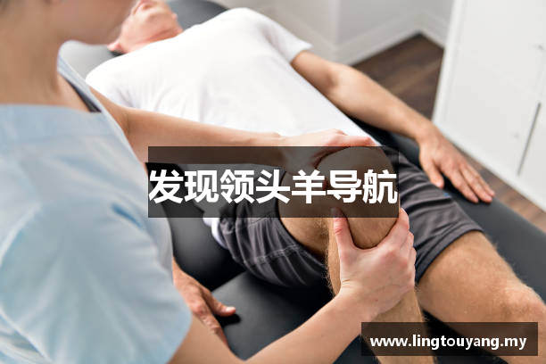 发现领头羊导航